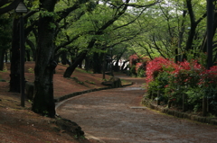 飛鳥山 其の壱