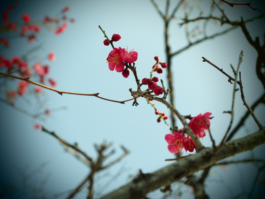 春の予感