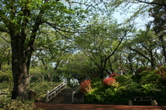 飛鳥山 其の弐