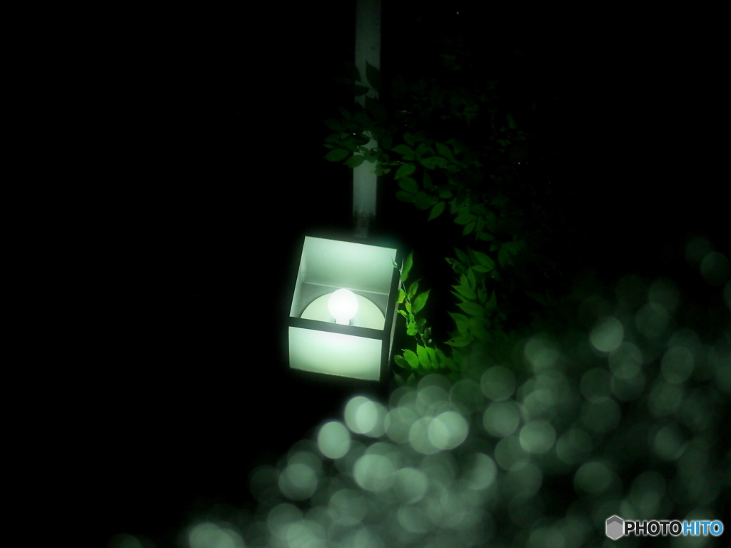 雨上がり