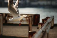 Takeoff