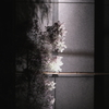 Shadow