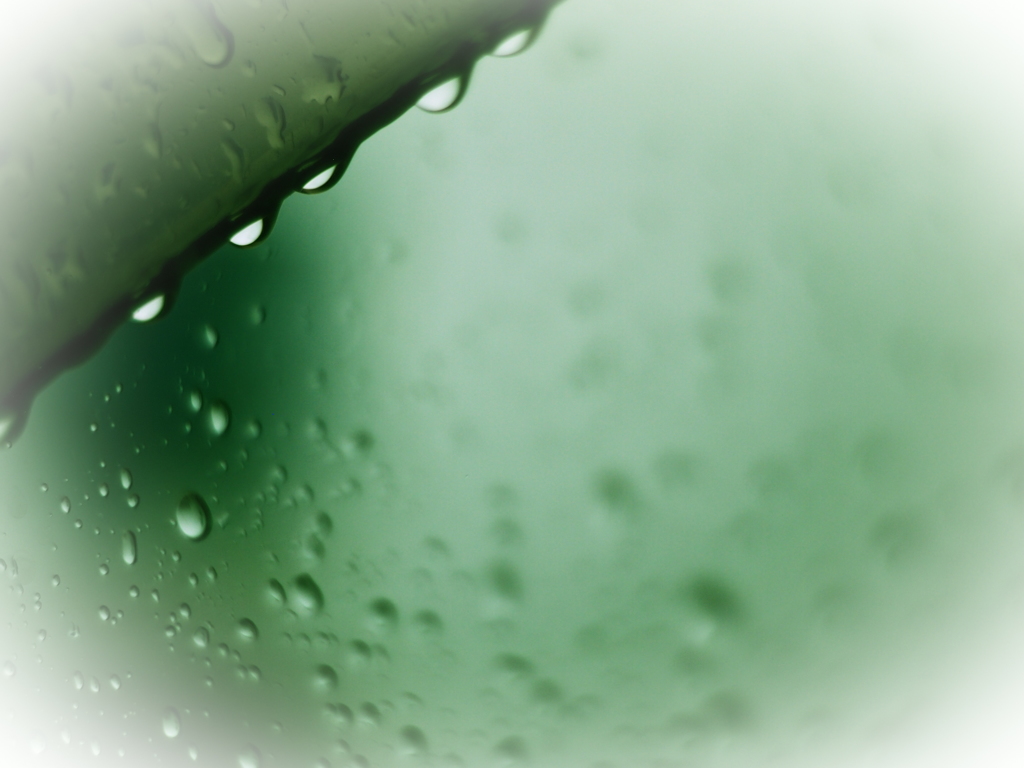 静かな雨の午後
