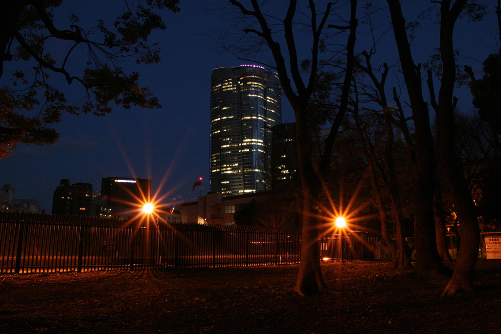 Aoyama Park（South area ）