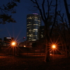 Aoyama Park（South area ）