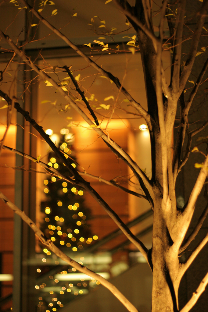 まどのなかのぬくもり