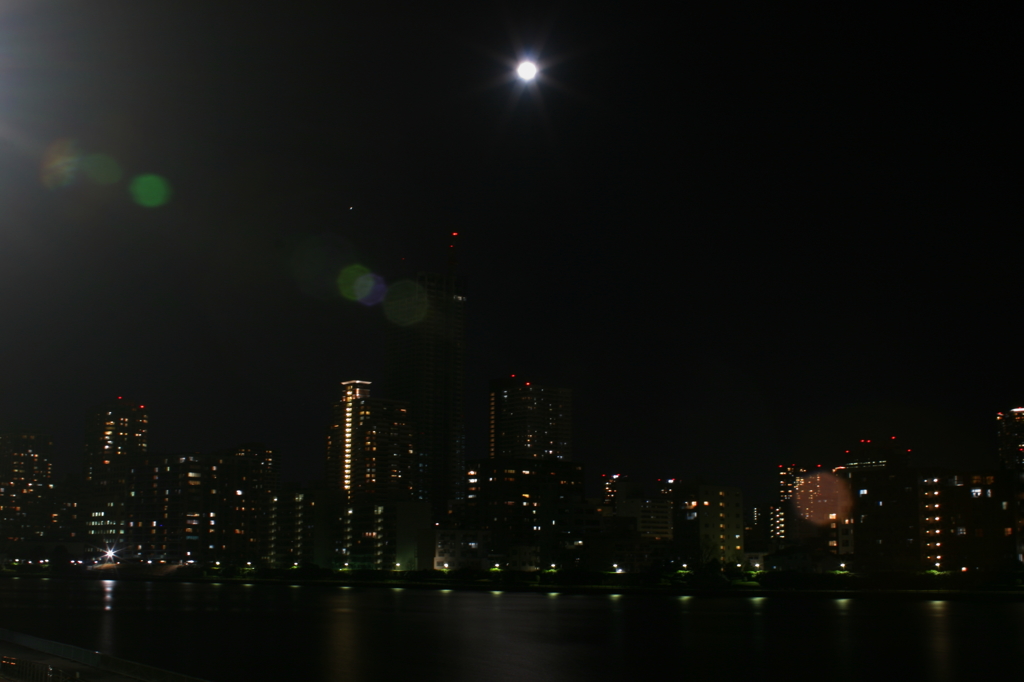 月あかりの下
