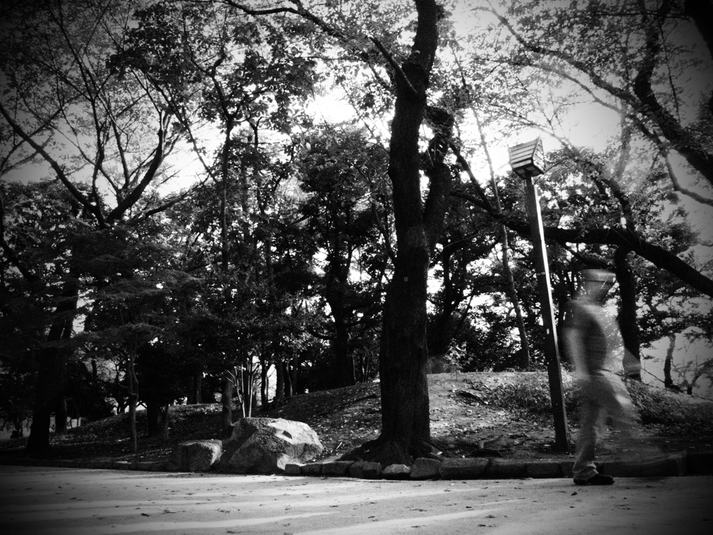 Walker