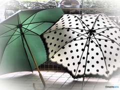 僕の傘・君の傘