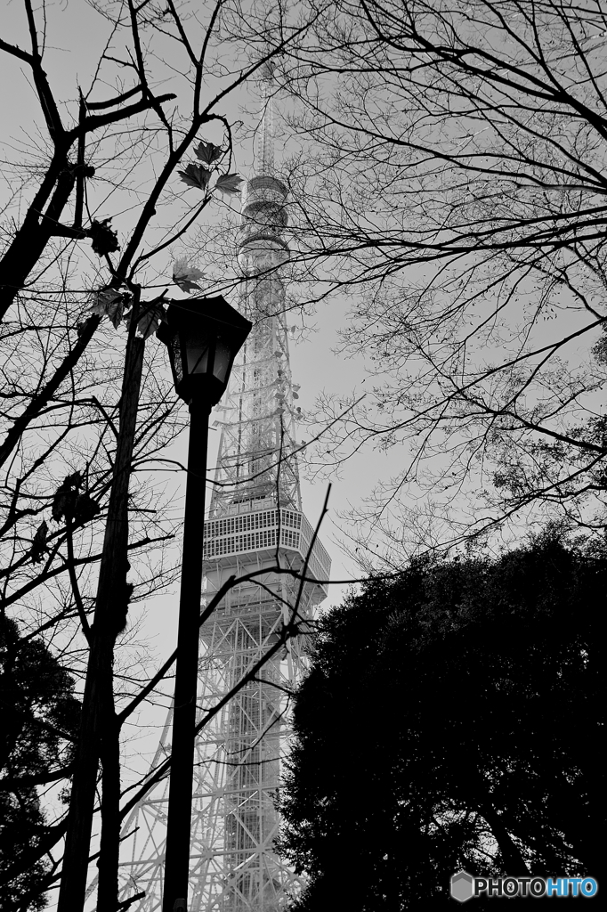 Tower