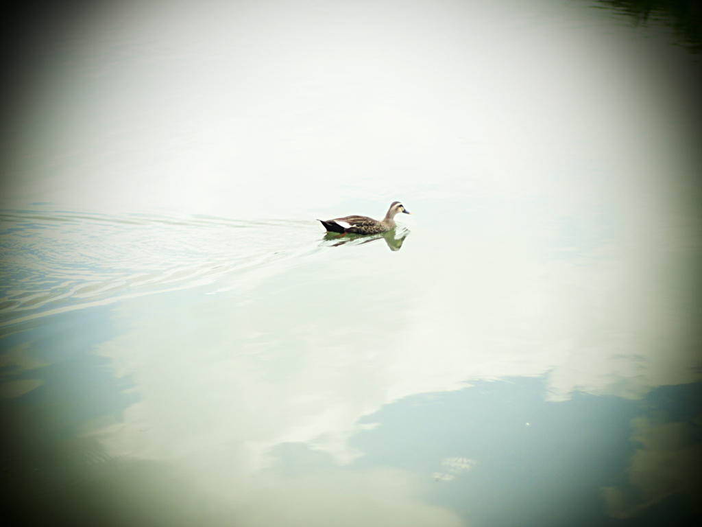sky swimming