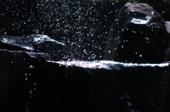 splash