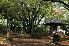 飛鳥山 其の参