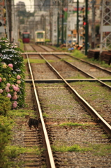 都電荒川線