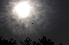 flight