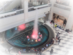 憩いの場