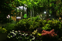 公衆電話
