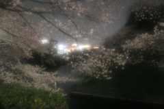 夜空に舞う