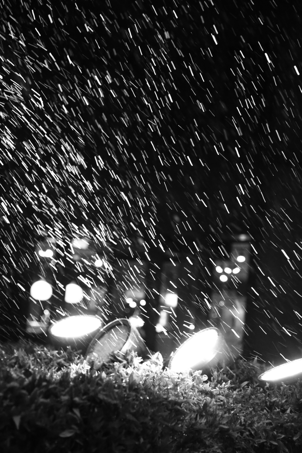 雪