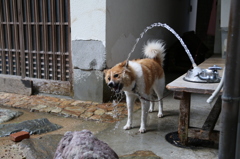 IMG_0425