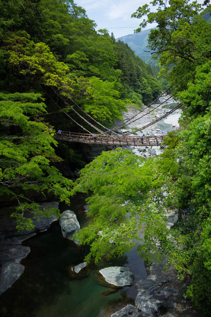 かずら橋１