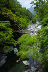 かずら橋１