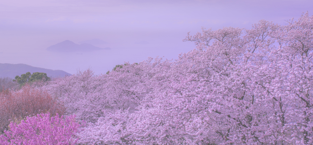 紫雲出山