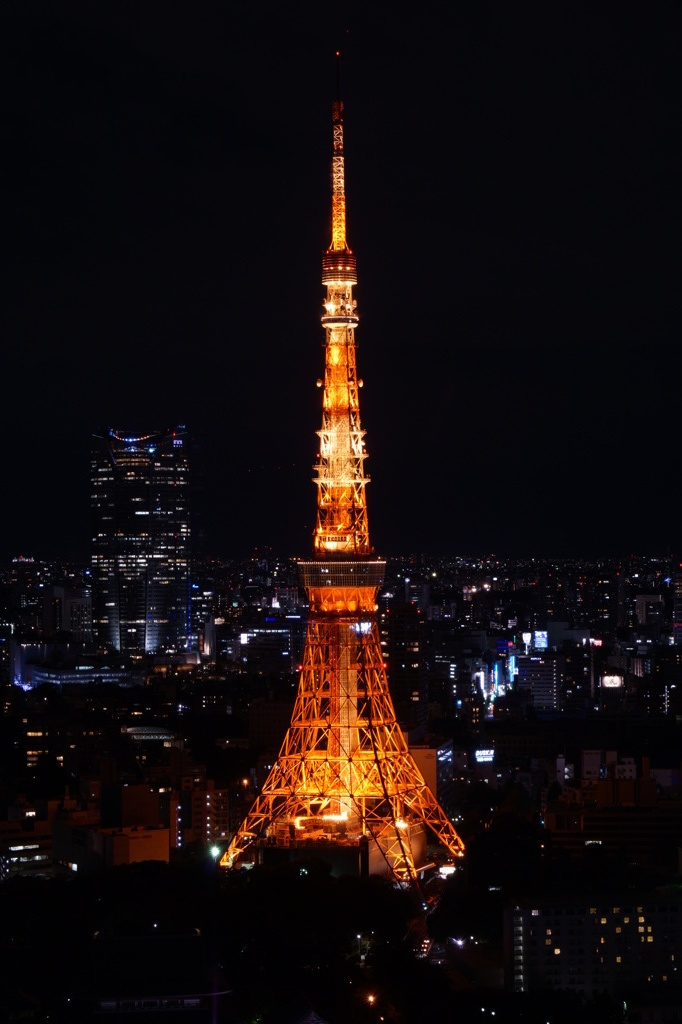Symbol of Tokyo