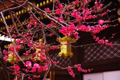 北野天満宮