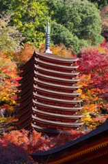 雅色－談山神社（南面遠景３）