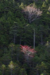 対