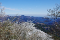 初冬の三頭山頂