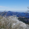 初冬の三頭山頂