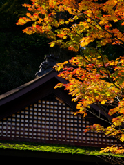 那谷寺の紅葉-1