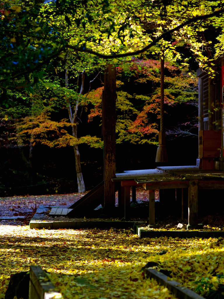 石龕寺（せきがんじ）の紅葉-1