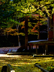 石龕寺（せきがんじ）の紅葉-1