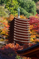 雅色－談山神社（南面遠景２）