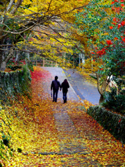 石龕寺（せきがんじ）の紅葉-2