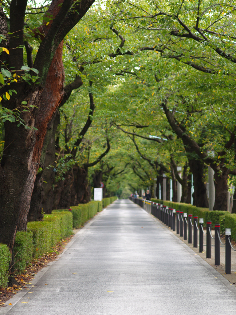 帰り道