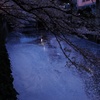 夜花筏