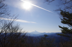 三頭山からの富士