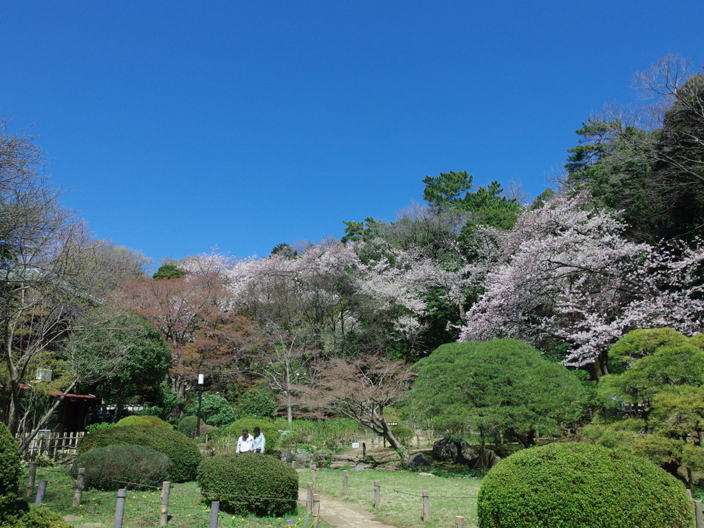 庭園の春
