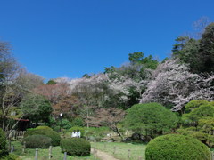 庭園の春