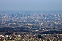 東京遠景