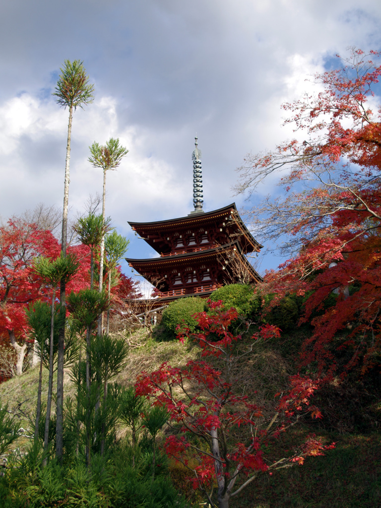 紅葉に囲まれて