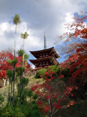 紅葉に囲まれて