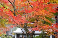 2013　gunma3