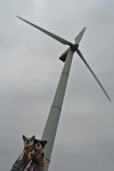 三崎の風力発電