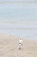 この海の向こうには・・・