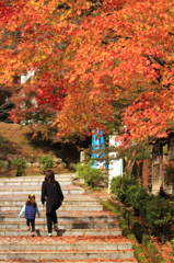 紅葉１４